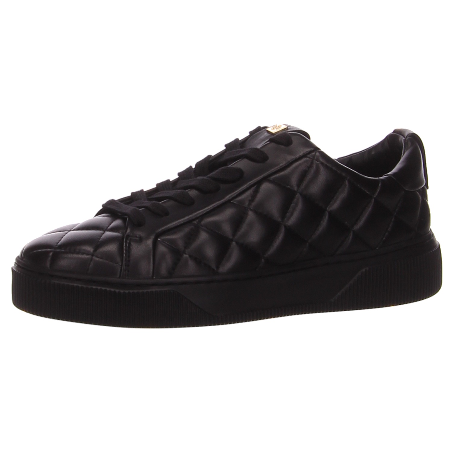 Högl Schnürschuhe 2-103420-0100