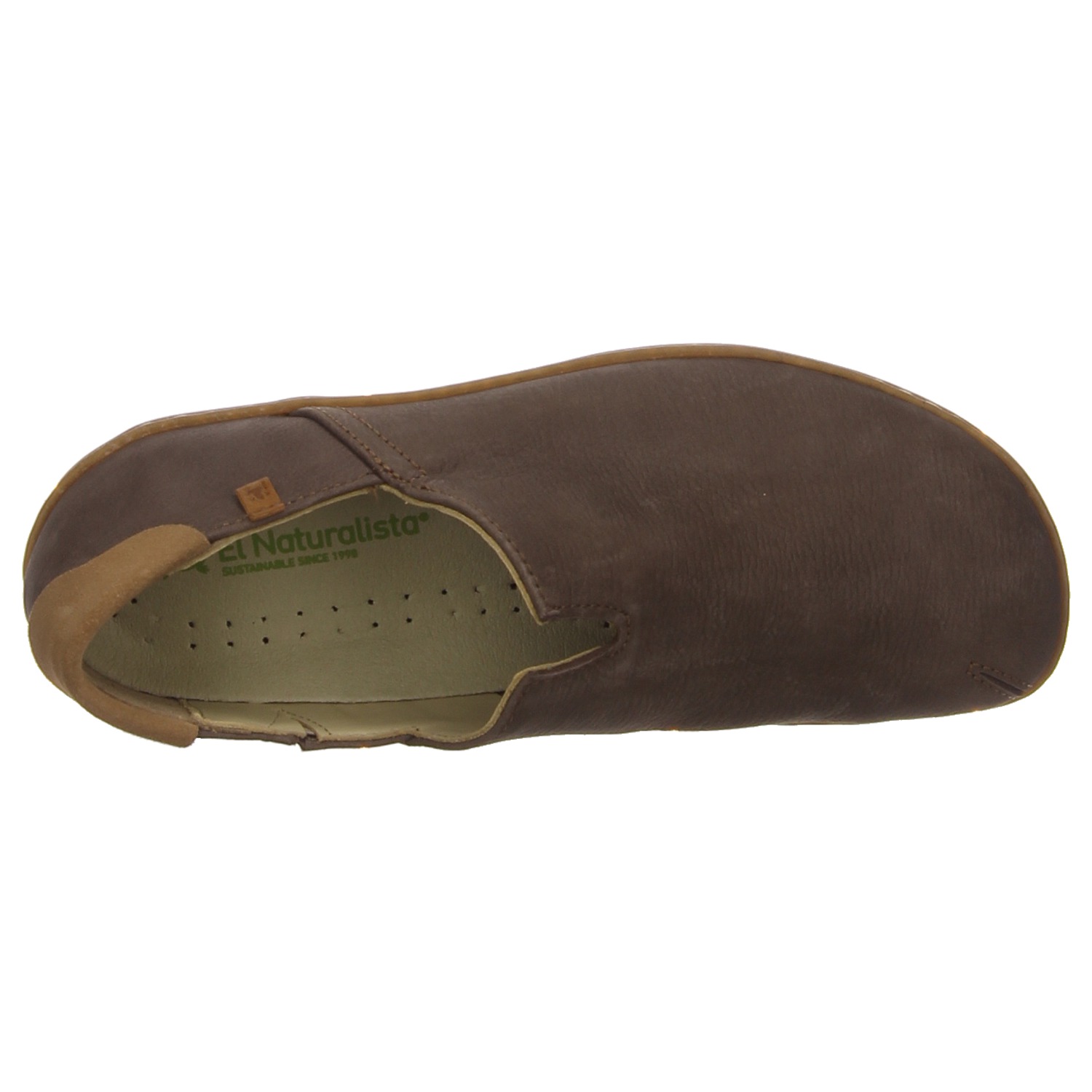 El Naturalista El Naturalista N275 plume